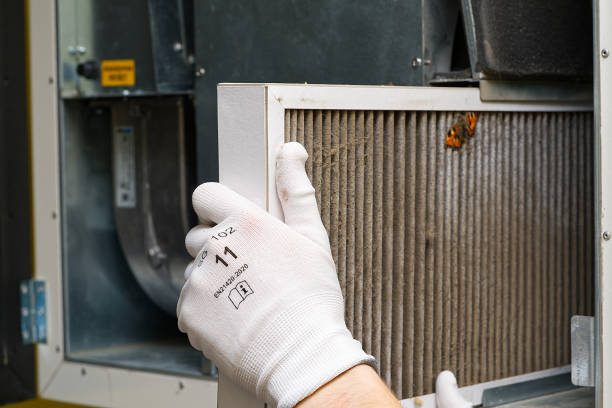 Best Professional Duct Cleaning Services  in Bensenvle, IL