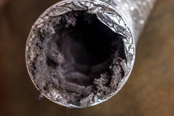 Best Residential Air Duct Cleaning  in Bensenvle, IL